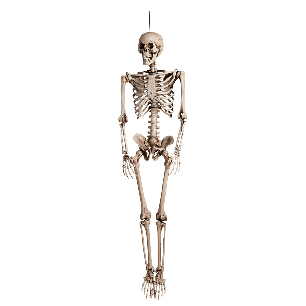 verkoop - attributen - Halloween - Skelet